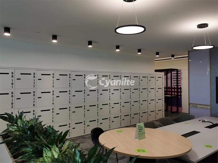 Cyanlite Cynthia in Singapore office